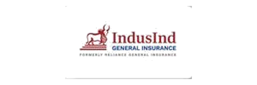 IndusInd General Insurance logo